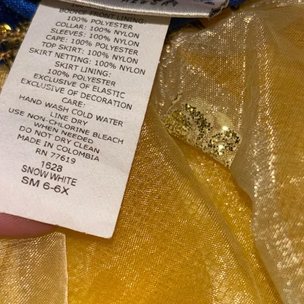 Disneyworld Resort Snow White Costume